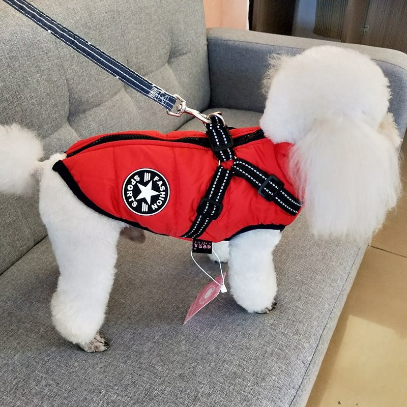 Hund Jacka