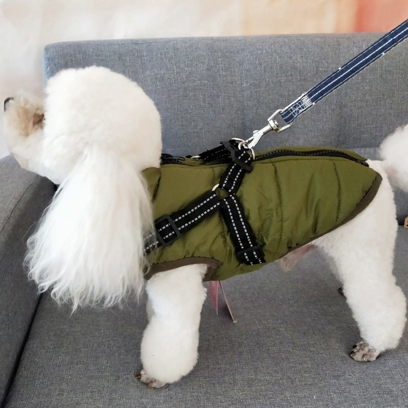 Hund Jacka