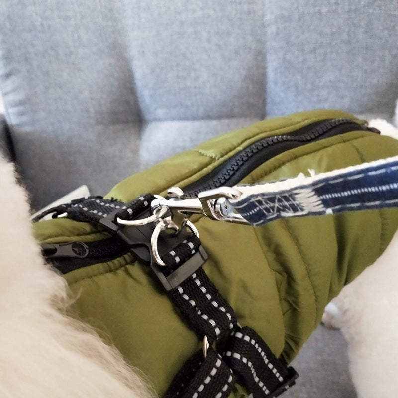 Hund Jacka