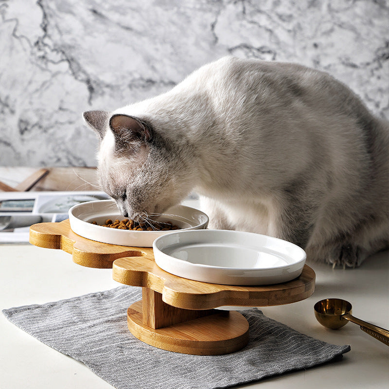 Matskål Till Katt