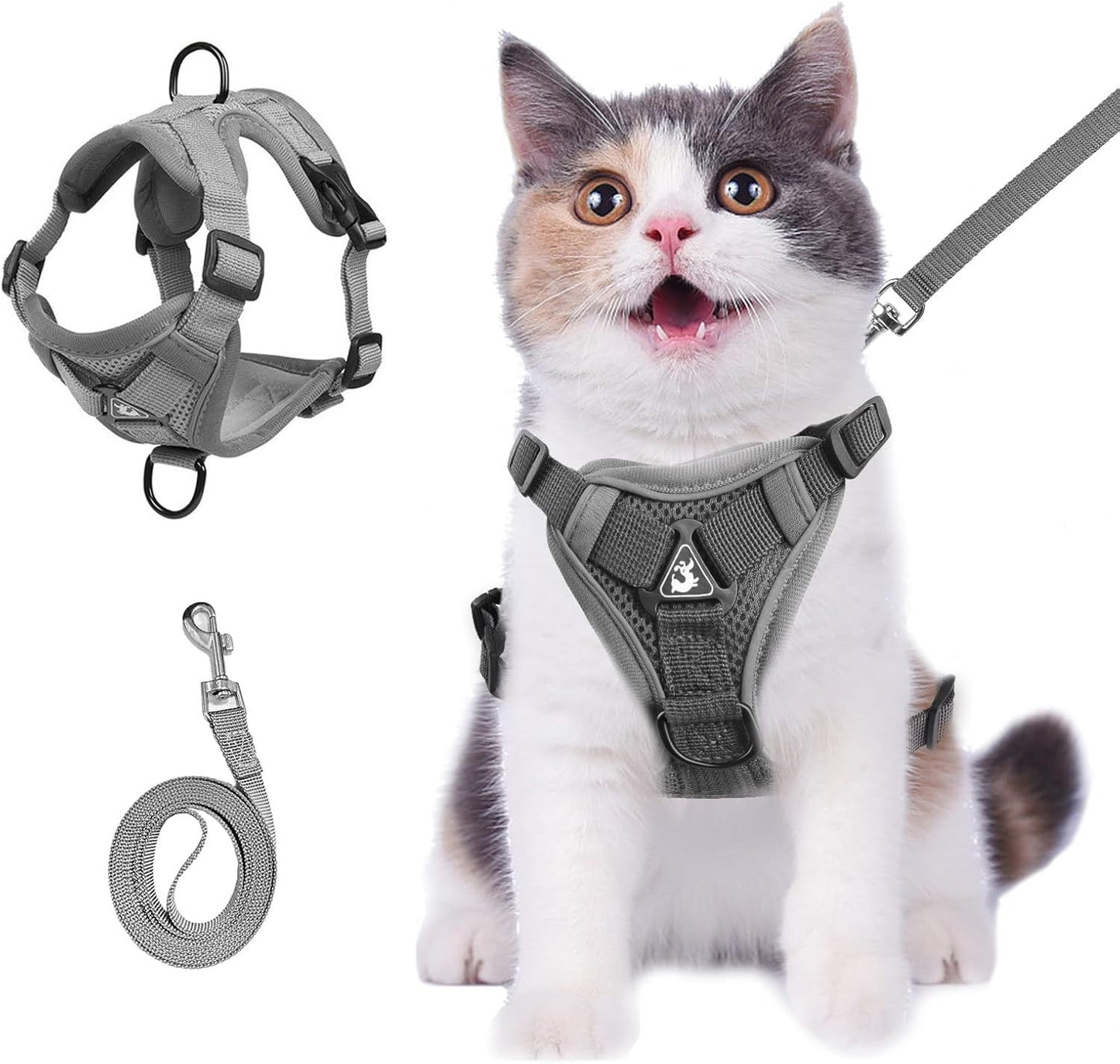 Kattsele med koppel