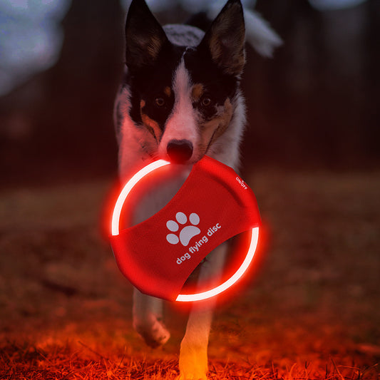 Lysande Frisbee